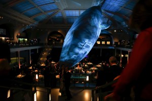 The scene at the American Museum of Natural History Gala.