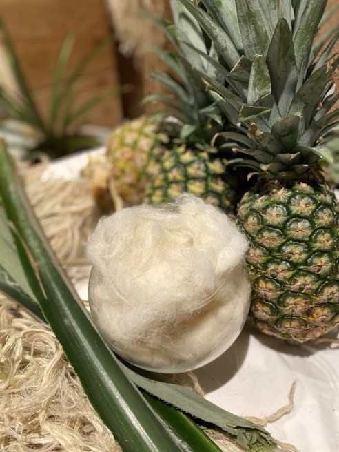 As seen here, Nextevo produces sustainable textiles (like Ready-to-Spin fibers) made from pineapple leaf waste.