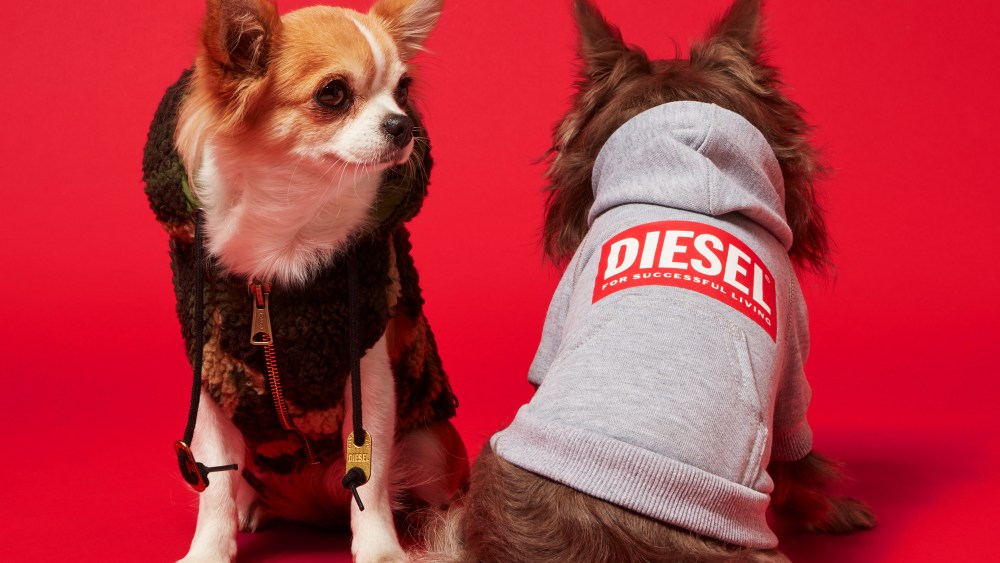 Diesel Doggie Capsule #02