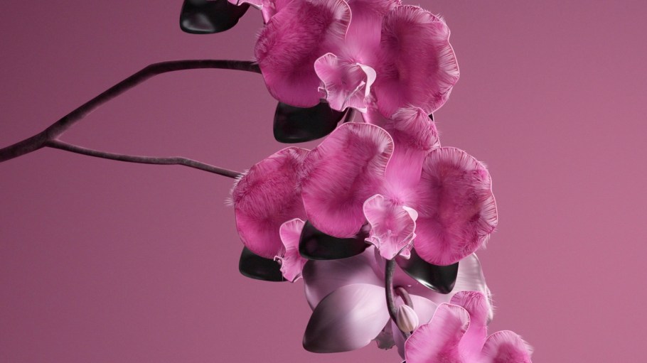 WGSN and its sister color systems company, Coloro, are doubling down on their forecast for Orchid Flower as color of the year for 2022.