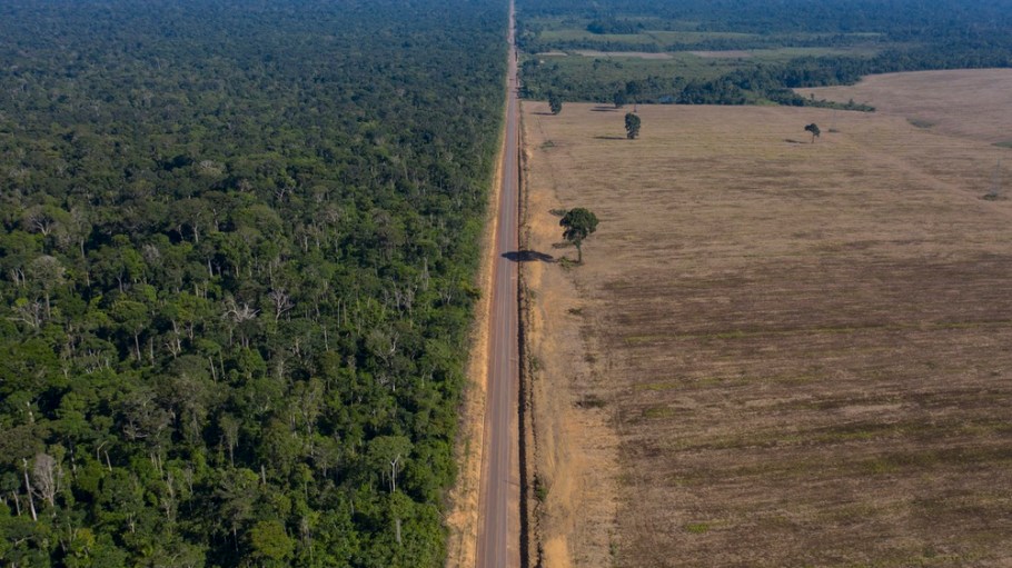 Fashion brands linked to Amazon deforestation