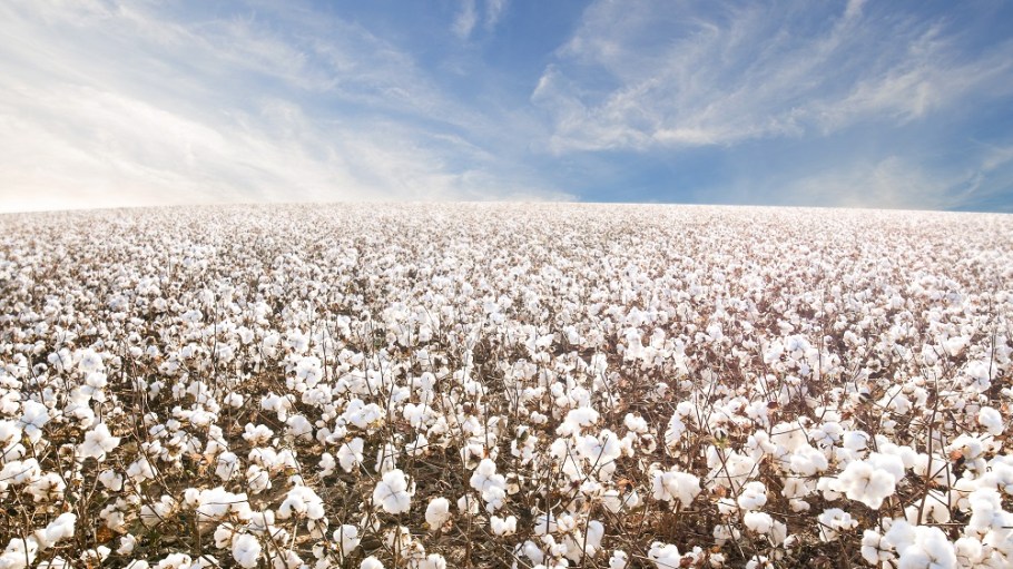 Applied DNA and Isotech entered into an MoU for Applied DNA to use Isotech’s isotopic analysis to test cotton fiber and fabric origin.