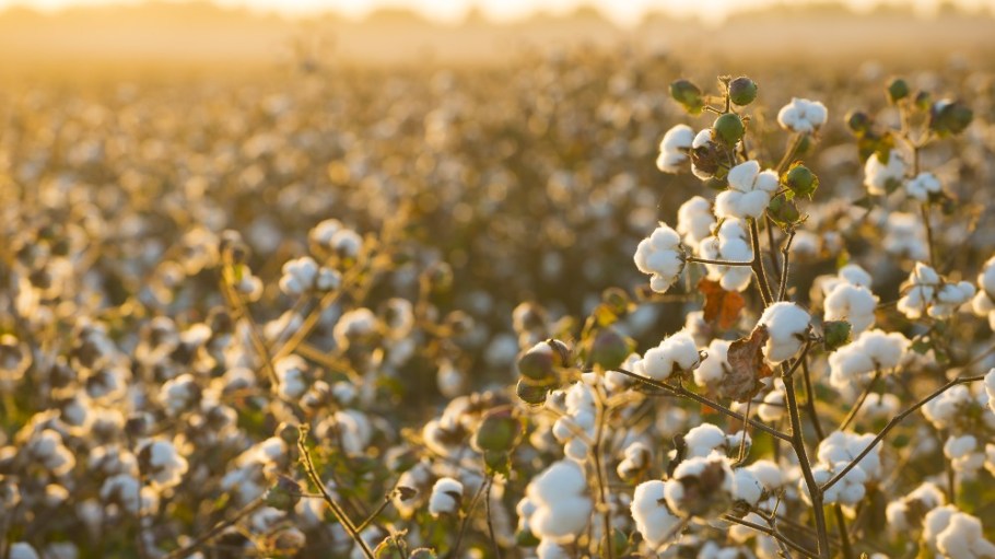 Retraced and Decor Global's traceability partnership will launch in April 2022.