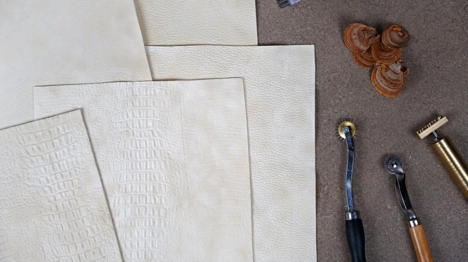 Fashion's shroom-leather boom shows no signs of abating, and Bestseller and PVH Corp. are gunning for a piece of the action with Ecovative's Forager Hides.