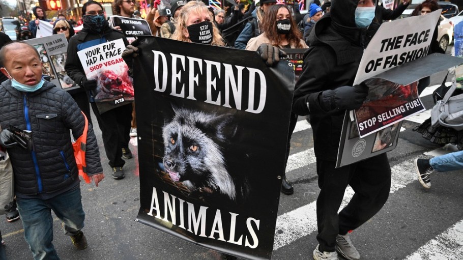 Most fashion brands still know "extraordinarily little" of the conditions animals face within their supply chains, a Four Paws report says. Anti-Fur prostests at high end retailers in Manhattan