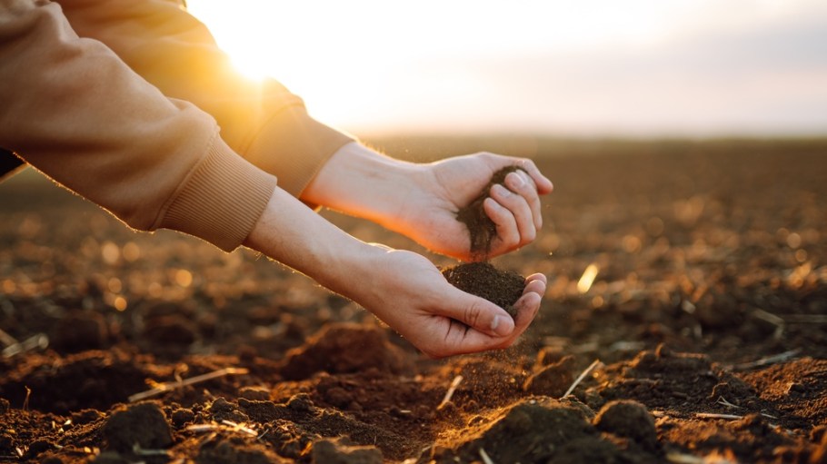 The Biomimicry Institute is leading a project to test-drive new technologies that convert used clothes into biocompatible raw materials