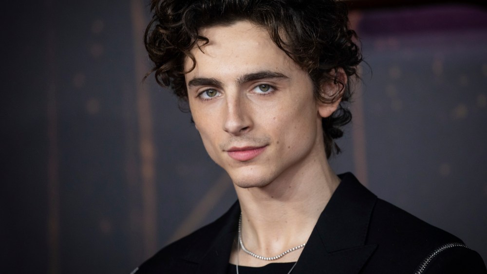 Timothée Chalamet and Haider Ackermann on Charitable Hoodie