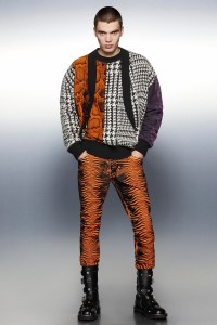 Roberto Cavalli Men's Fall 2022