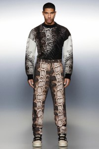 Roberto Cavalli Men's Fall 2022