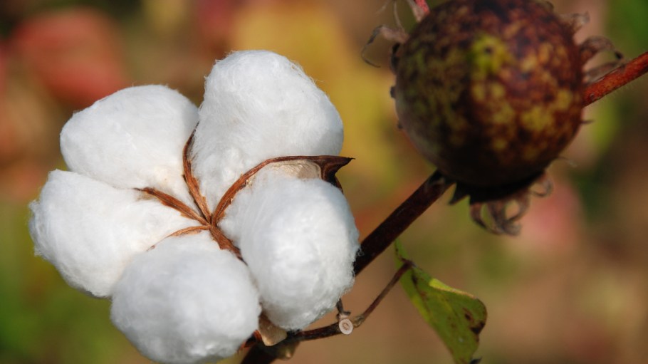 Rising raw materials prices have led manufacturers in the cotton-producing Indian region of Tirupur to demand government intervention.