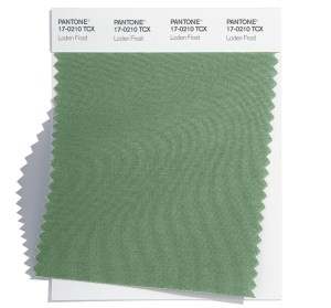 Loden Frost 17-0210
