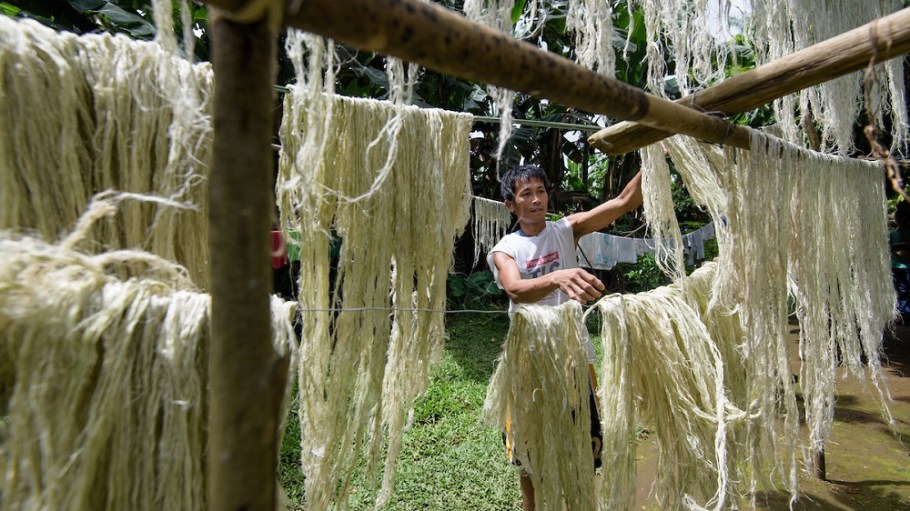 To give a stronger voice to the plant-based textile industry, Ananas Anam, Bananatex and Circular Systems founded Fibral Material Alliance.
