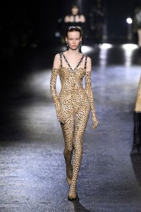 Roberto Cavalli RTW Fall 2022