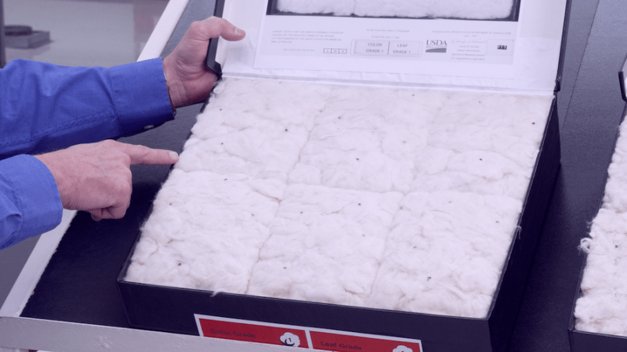Cotton is the most commonly grown natural fiber, but despite its ubiquity, not all cotton is created equal, Supima experts say.