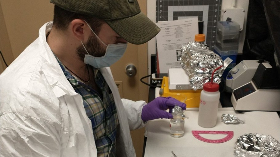A new study from Woods Hole Oceanographic Institution shows Naia cellulosic fiber disintegrates and biodegrades in the ocean within months.