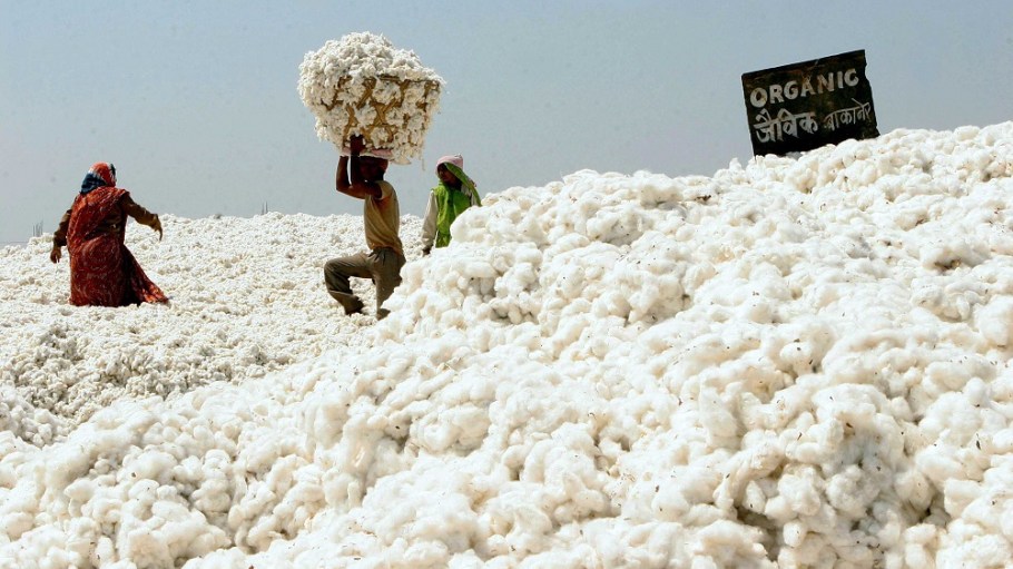GOTS has taken the New York Times to task over its representation in the paper's investigation into Indian organic cotton certification.