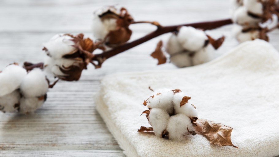 Consumers have differing ideas on terms that describe different types of cotton and what "organic cotton" actually means.