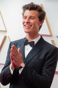 Shawn Mendes