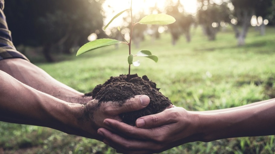 The vision of Oeko-Tex, founded in 1992, is still reflected 30 years later in its core values of trust, product safety and sustainability.
