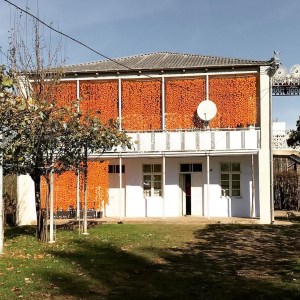 "These are the traditional Georgian dry fruit curtains that you can see everywhere in the villages in autumn. They are made of persimmon, and will be eaten through the winter.” — Irakli Rusadze, creative director