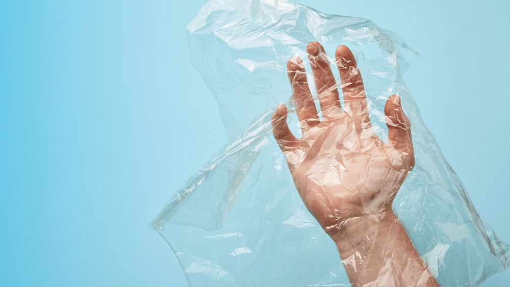 innovation, materials, seaweed, fashion