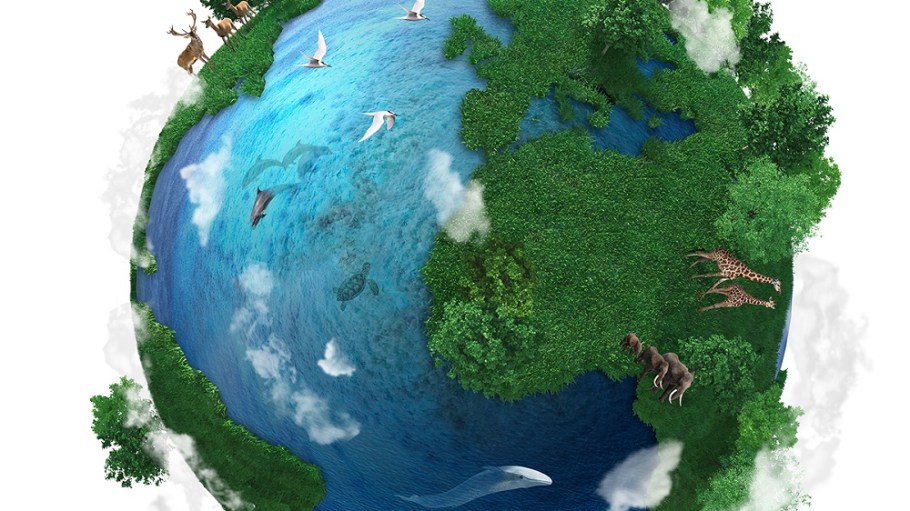 Lenzing's new sustainability report stresses its focus on balancing its needs with those of nature in the spirit of the circular economy.