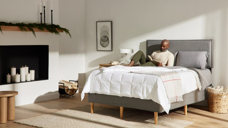 Direct-to-consumer mattress maker Purple reported significant revenue gains, as well as the appointment of a new CEO, during its fourth-quarter earnings call on March 1.