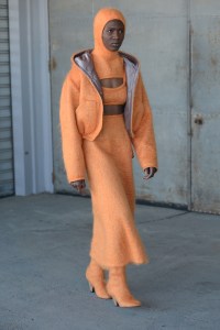 Veronique Leroy RTW Fall 2022