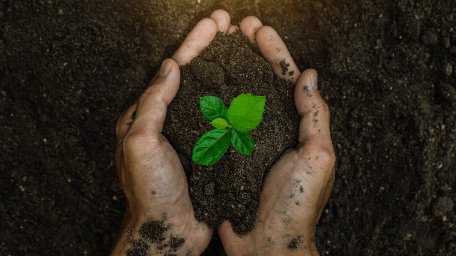 The goal of Earth Day's organizers this year is to engage governments, people, businesses, and institutions in taking action on climate.