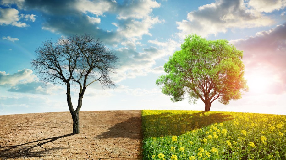 When asked to select the top three issues in the world today, the first choice of 71 percent of apparel experts was global warming.