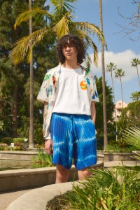 A look at Webster's collaboration with Nahmias .