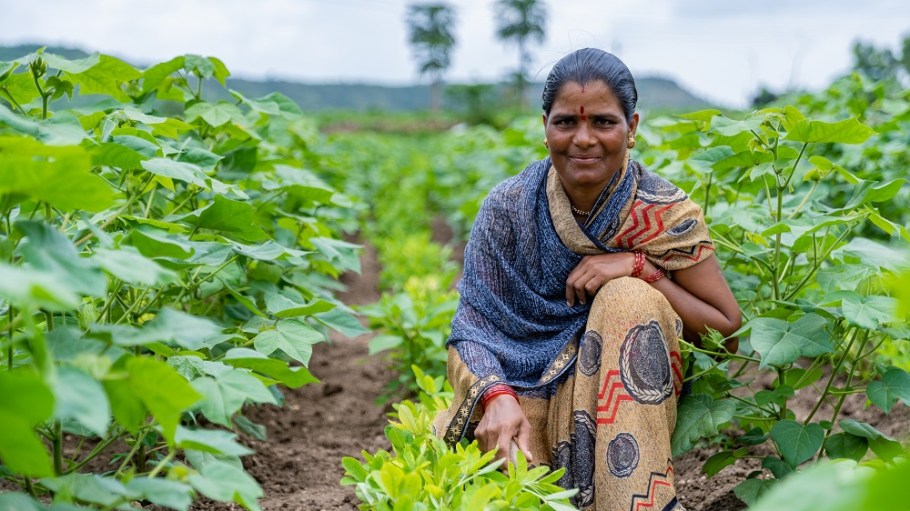 The OCA, with Dutch government funding, launched the Textiles in Transition project targeting transparency and fairness in organic cotton.
