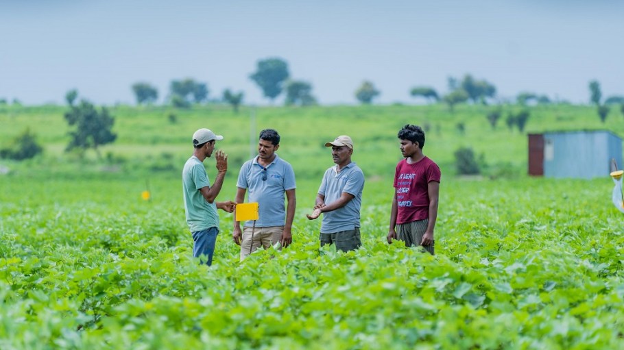 The Partnership for Sustainable Textiles and Organic Cotton Accelerator launched an initiative to drive improvements in organic cotton.