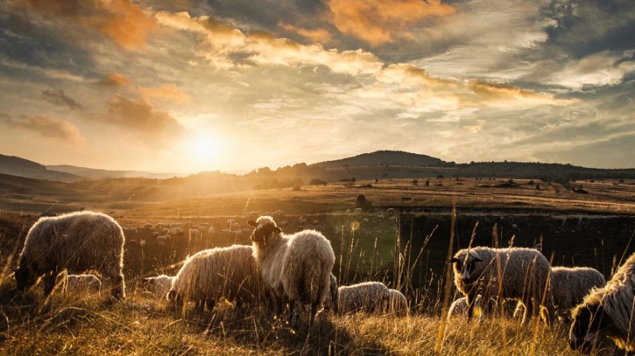 The new course features education on regenerative agriculture, circular processes and sustainable design.