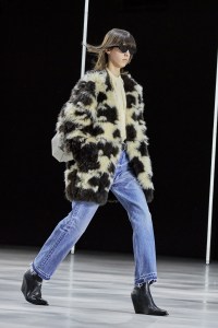 Celine RTW Fall 2022