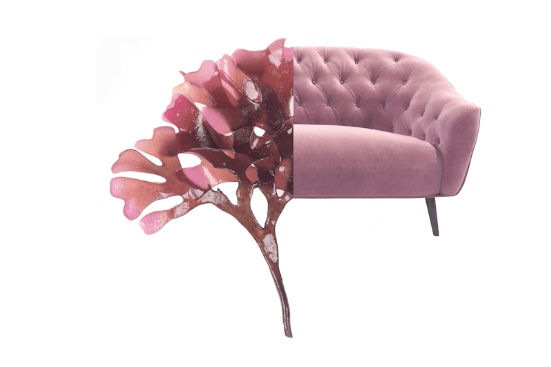 A pink shell image of an abstract couch cut in half and conjoined to a seaweed-like particle.