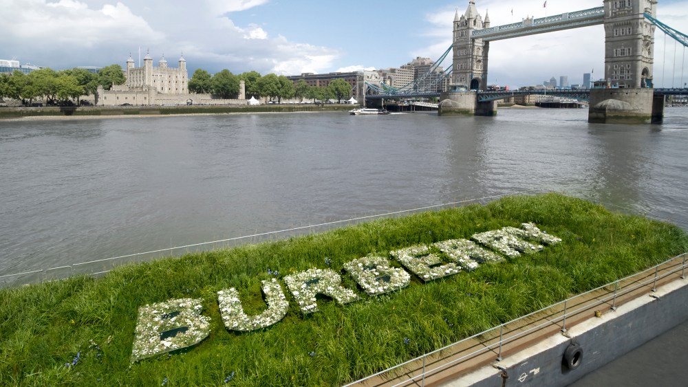 Burberry meadow Thames