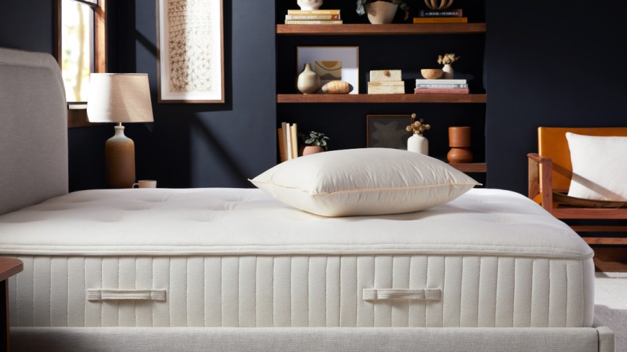 Parachute CEO Ariel Kaye shares how the home goods company is thinking about circularity and reducing waste after becoming climate neutral.