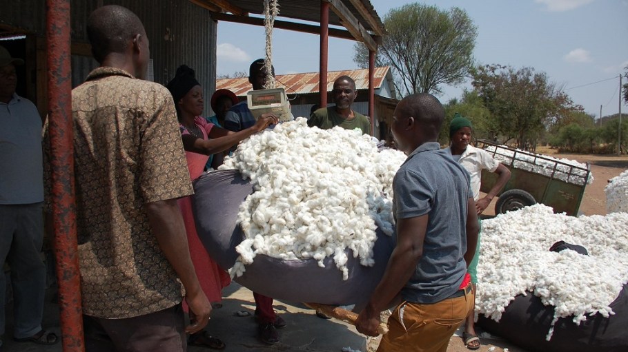 From the United States to Tanzania, cotton growers and manufacturers have new programs and expansions to support their businesses.