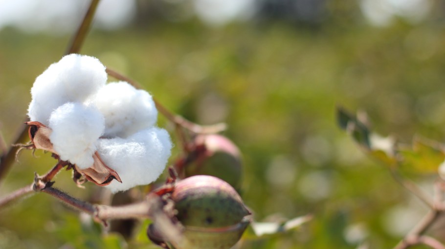 Exasperated by higher cotton prices, manufacturers in Tamil Nadu staged a two-day shutdown in an attempt to bring attention to their plight.