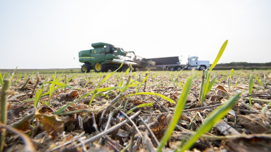 Cargill will start enrolling U.S. cotton growers in its Cargill Regen Connect regeneratively sourced cotton program next month.