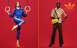 Gucci x Adidas