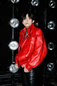 TaeHyung Kim V