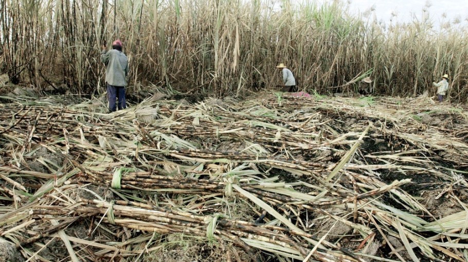 Replacing fossil-fuel-based synthetics with fibers derived from plants and agricultural waste could help fashion hit its climate targets.