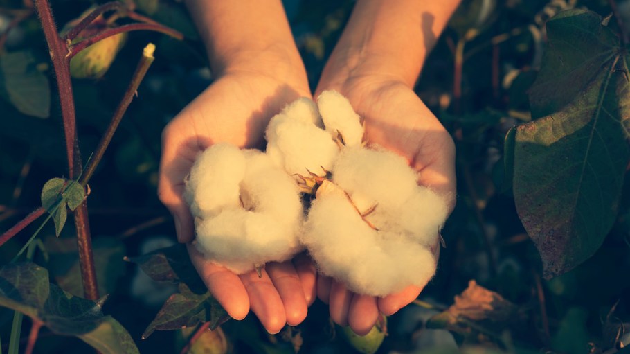 The U.S. Cotton Trust Protocol-affiliated growers are improving in areas including soil health, erosion prevention and water use efficiency.