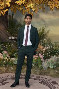 LONDON, ENGLAND - AUGUST 30: Alfie Enoch attends "The Lord Of The Rings: The Rings Of Power" World Premiere at Leicester Square on August 30, 2022 in London, England. (Photo by Dave J Hogan/Dave J. Hogan/Getty Images)