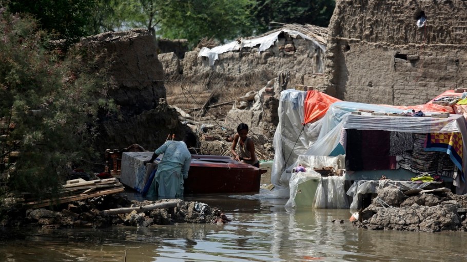 Better Cotton Loses 70% of Its Pakistani Cotton in Catastrophic Floods