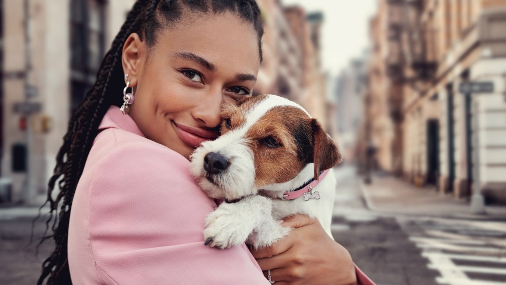 Pandora dog collar