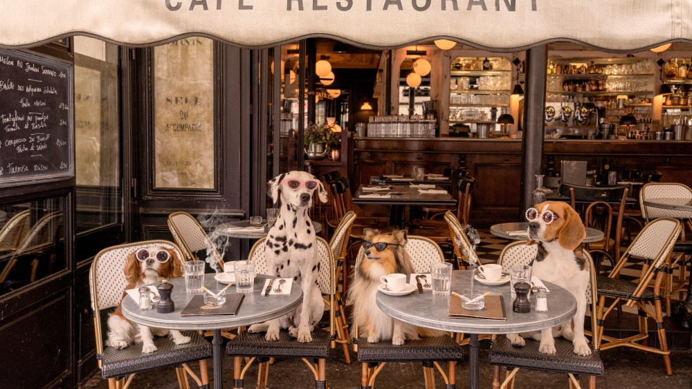 "The Café, Paris," by Gray Malin.