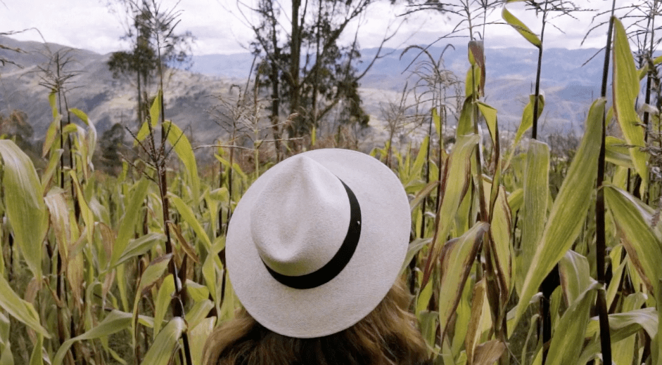 A panama hat from Cuyana worn on a woman facing a field and mountains.